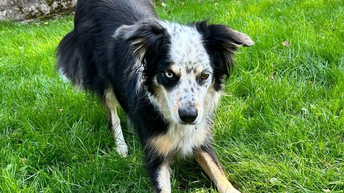 „Rocky“ musste sein geliebtes Heim leider verlassen.