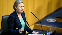 Familienministerin Susanne Raab (ÖVP) (Bild: EXPA/picturedesk.com/Max Slovencik)