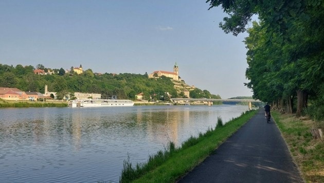 Der tschechische Teil des Elberadwegs ist aufgrund der überwiegend ebenerdigen Straßen besonders beliebt. (Bild: Zwickl)