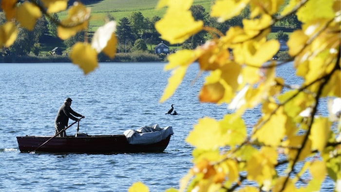 Am Greifensee gingen die beiden Fischer auf nächtliche Jagd nach Welsen und Hechten. ...