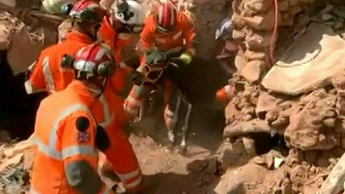 Rettungskräfte haben nach dem Erdbeben in Marokko einen Esel nach sechs Tagen lebend aus den ...