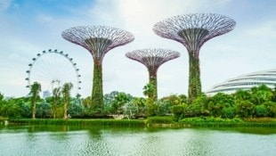 Blickfang in Singapur: die „Bäume“ in Gardens by the Bay