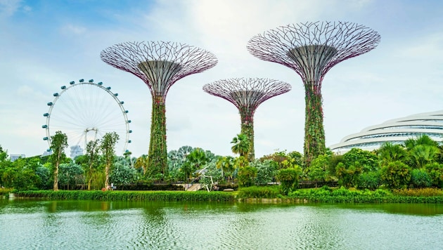 Blickfang in Singapur: die „Bäume“ in Gardens by the Bay (Bild: Fraser Hall)