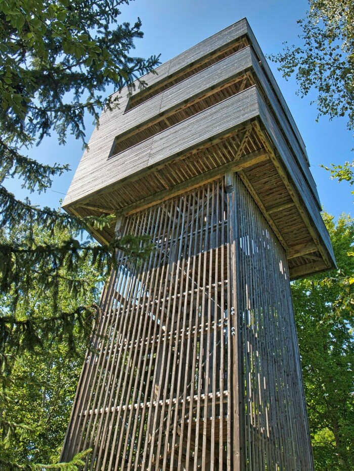 Der Höhepunkt der 10 Kilometer langen Wanderung ist die Warte am Sippenkogel.