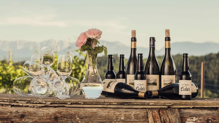 In Karnburg gibt es sowohl Chardonnay, Pinot Grigio, Sauvignon blanc, Zweigelt und Pinot Noir ...