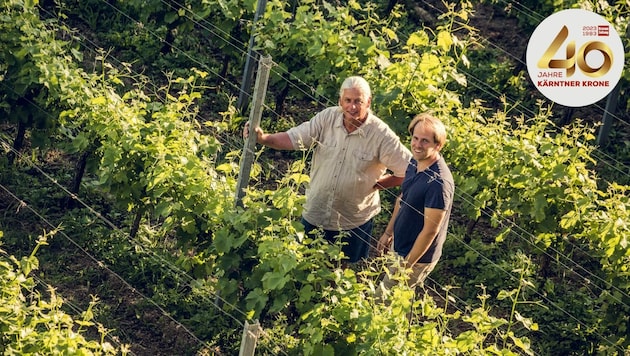 Sem Kegley und Georg Lexer in ihrem Weingarten in Karnburg. (Bild: Elias Jerusalem)