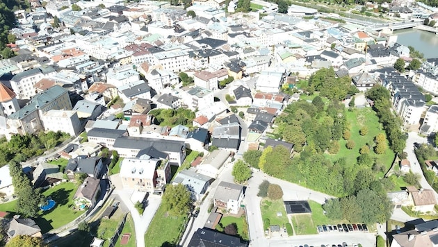 Eine idyllische Grünfläche mitten in der Halleiner Altstadt: Streit um den Forstgarten! (Bild: zVg)