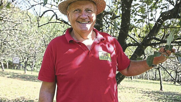 Vom Sämling (rechts in seiner Hand) zum Apfelbaum: Hans Lendl hat sich dem Erhalt von alten Obstsorten verschrieben - in Zeiten des Klimawandels wird das umso wichtiger. (Bild: Carina Fenz)