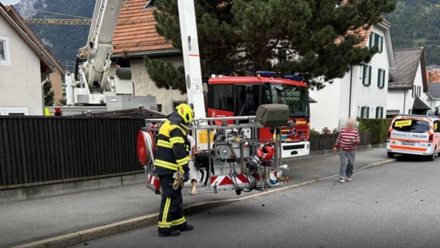 Happy End für Gordon und seine Besitzerin. (Bild: Stadtpolizei Chur)