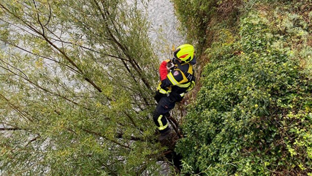 Ein Feuerwehrmann rettet die Katze aus ihrer höchst misslichen Lage. (Bild: Stadtpolizei Chur)