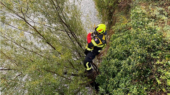 Ein Feuerwehrmann rettet die Katze aus ihrer höchst misslichen Lage.
