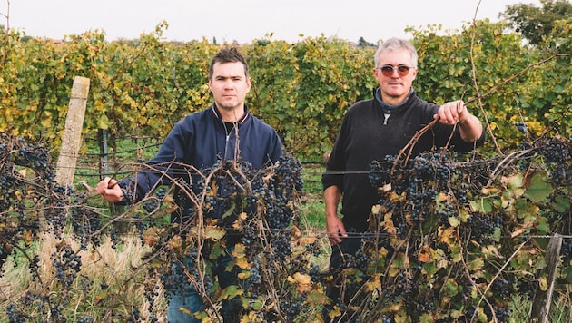 Die Anderts aus Pamhagen haben einen Wein namens „Penetranter Mistkerl“ kreiert. Warum der so heißt? Ab in die Buchhandlung, Aufklärung gibt es um 27,90 Euro. (Bild: Ingo Pertramer)