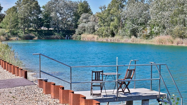 Die Umwidmungen und Grundstückskäufe im Kleingartenverein Breitenlee haben viel Staub aufgewirbelt. (Bild: Holl Reinhard)