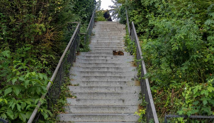 Egzon L. (21) musste nach seinem Sturz über diese Stiege auf der Intensivstation des Klinikums ...