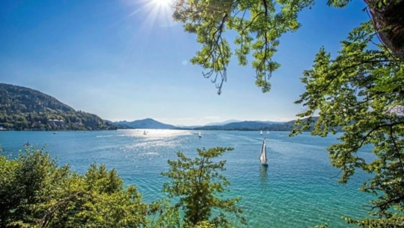 Der Wörthersee in Kärnten (Bild: tinefoto.com | martin steinthaler)