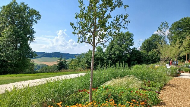 Von regionalen Blumen bis zu Exoten gab es in Wolfsegg viel zu bestaunen. (Bild: Land OÖ)