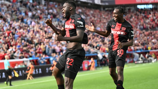 Victor Boniface glänzt bei Bayer Leverkusen mit einem Doppelpack gegen Heidenheim. (Bild: APA/AFP/INA FASSBENDER)