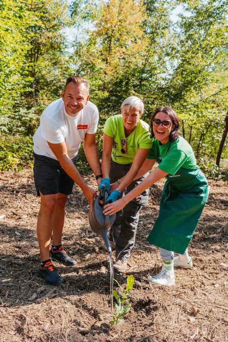 Dagmar Habeler (Waldquelle Mineralwasser, rechts), Kerstin Haberhauer (waldsetzen.jetzt, mitte) und PENNY Einkaufsleiter Gerald Flechl (links) sind motiviert für den ersten PENNY und Waldquelle Stöpselwald 2023. (Bild: Jagoschuetz Laura)