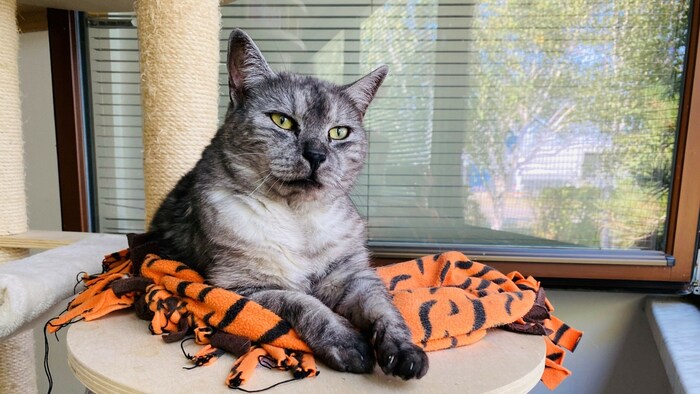 Our "senior" is also hoping for some luck. 