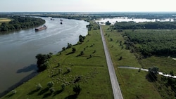 Der sogenannte Chilia-Arm des Donaudeltas - rechts Rumänien, links die Ukraine (Bild: APA/AFP/IONUT IORDACHESCU)