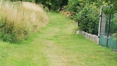 Schwarz statt grün - dass der Wiesenweg asphaltiert wird, gefällt nicht jedem in Falkenstein (Bild: zVg)