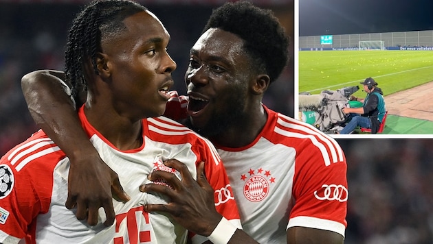 Mathys Tel (li.) und Alphonso Davies halfen dabei, die Tennisbälle wieder einzusammeln. Dabei geriet Davies mit dem Boss der Bayern-Ultras aneinander. (Bild: APA/AFP/CHRISTOF STACHE, twitter.com/berger_pj)