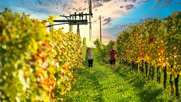 Das schöne Wetter lockt die Gäste in die Südsteiermark. (Bild: Sepp Pail )