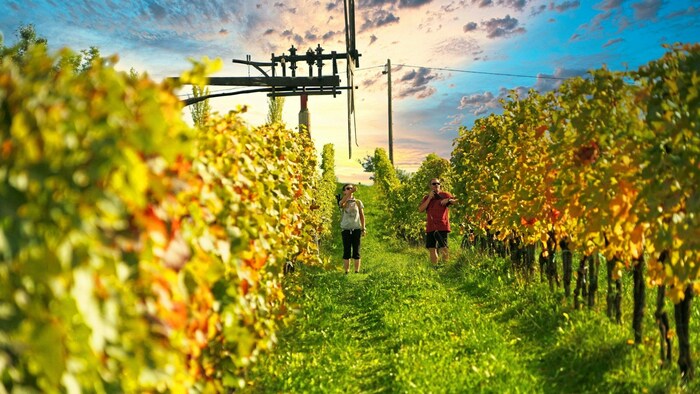 Ungetrübtes Ferienwetter: Die 20-Grad-Marke soll am Sonntag wieder geknackt werden.