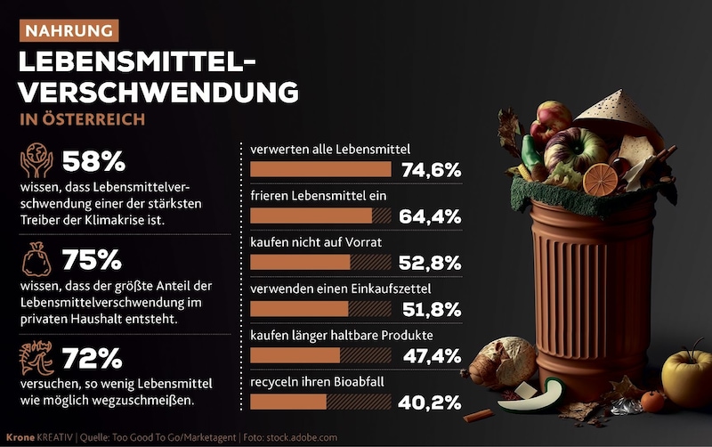 Hier sehen Sie eine Grafik zu Lebensmittelverschwendung. (Bild: Krone Kreativ/Quelle: Too Good To Go/Marketagent/Foto:stock.adobe.com)