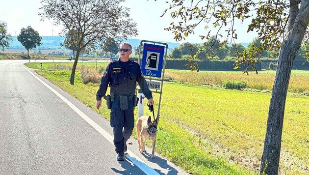 Der schlaue Polizeihund „Wendy“ nach seiner erfolgreichen Suche nach dem Schlepper. (Bild: Christian schulter)