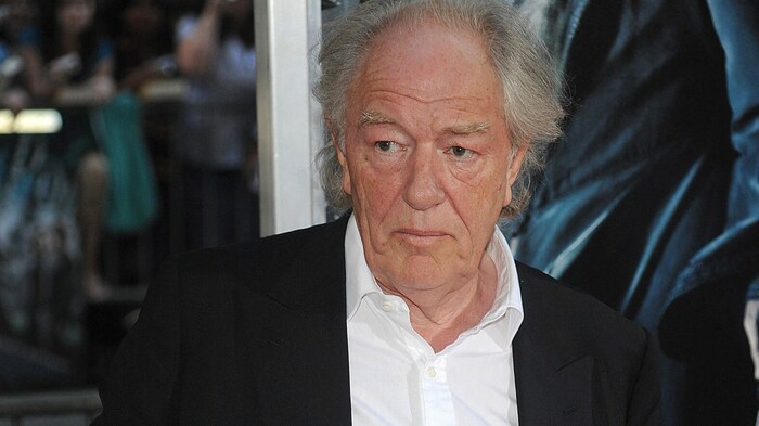 Michael Gambon konnte auf eine erfolgreiche Karriere im Film und am Theater zurückblicken.