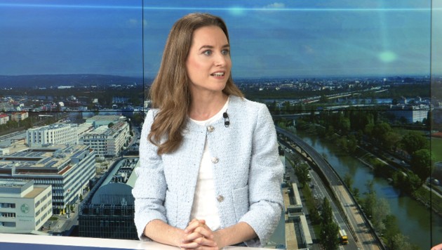 Migrationsforscherin Judith Kohlenberger im krone.tv-Talk (Bild: krone.tv)