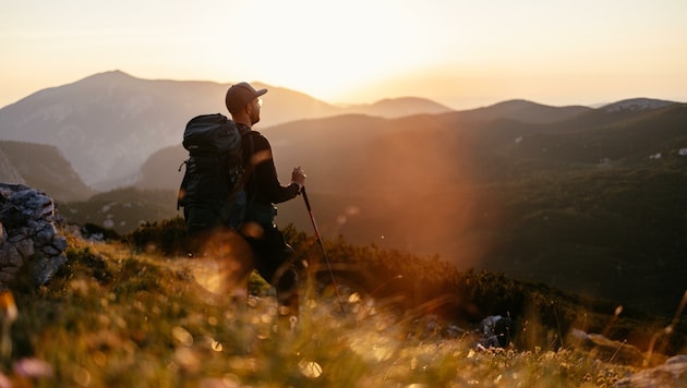 Aktivsein und entspannen in der Natur: Insgesamt 15.000 Kilometer Berg- und Wanderwege locken Hobbysportler und Ausflügler nach Niederösterreich. (Bild: NÖ WERBUNG DIVERSE)