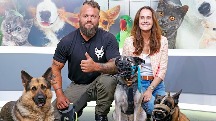 For the "Krone" animal corner, he helped to re-socialize the male dog "Rafi" (center) and impressed Maggie Entenfellner with his skills. 
