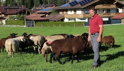 Hollersbacher Landwirt Georg Kaltenhauser verlor zwei Schafe. Zum Wolf hat er eine klare Meinung. (Bild: Hölzl Roland)