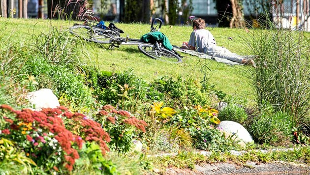 Herrliches Wetter begleitete die Salzburger im September. (Bild: ANDREAS TROESTER)