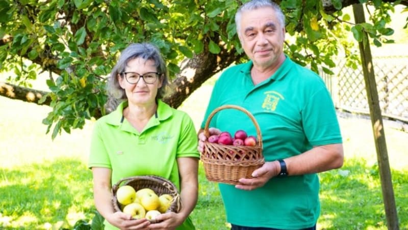 Die Sparbacher wollten das ungeerntete Obst im Ort nicht verkommen lassen. (Bild: Klaus Schindler)