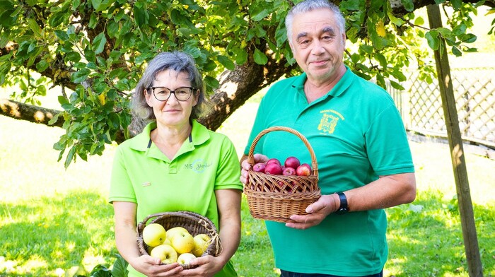Die Sparbacher wollten das ungeerntete Obst im Ort nicht verkommen lassen.