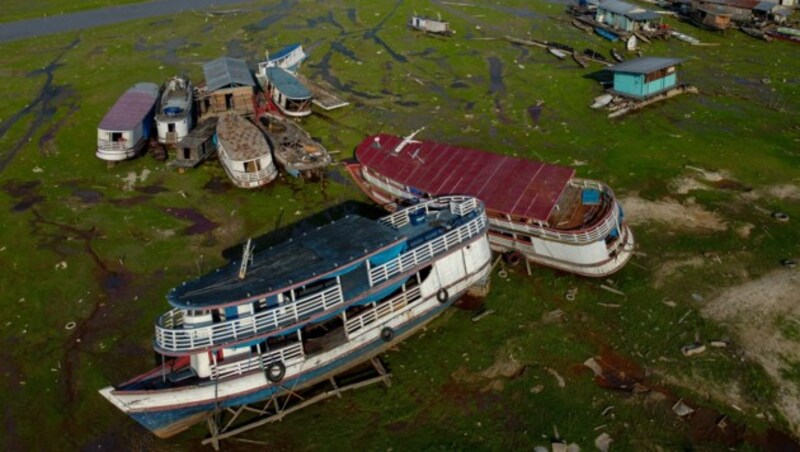 Das Amazonasgebiet leidet derzeit unter Dürre. (Bild: AFP)