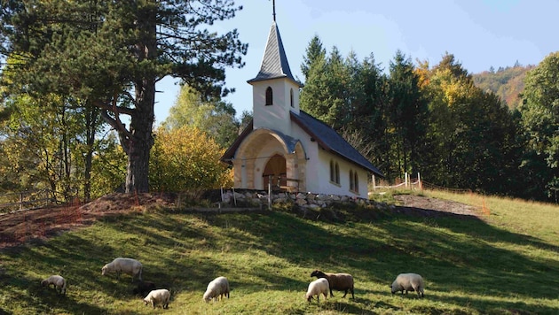 Gewidmet dem Heiligen Vinzenz von Valencia, dem Schutzpatron der Holzfäller, dient die Kirche im Bezirk Wiener Neustadt seit 2010 zur stillen Einkehr. (Bild: Verein Waldandacht)