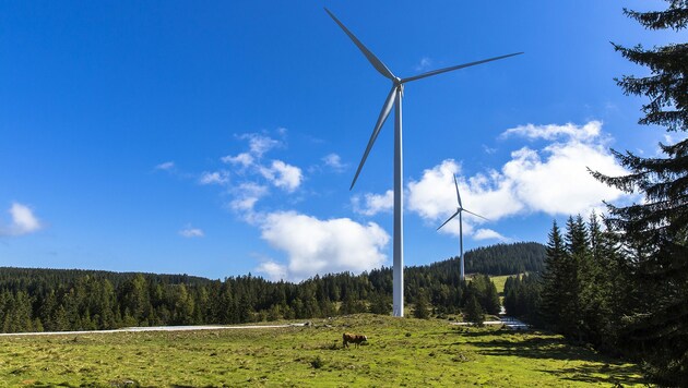 Wind turbines: a wild card for the energy transition and a bogeyman all in one (Bild: Energie Steiermark)