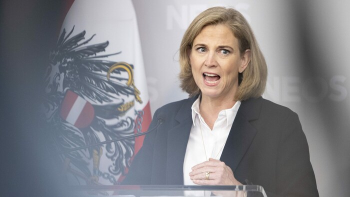 Meinl-Reisinger beklagt einen neuen Tiefpunkt in der österreichischen Innenpolitik.
