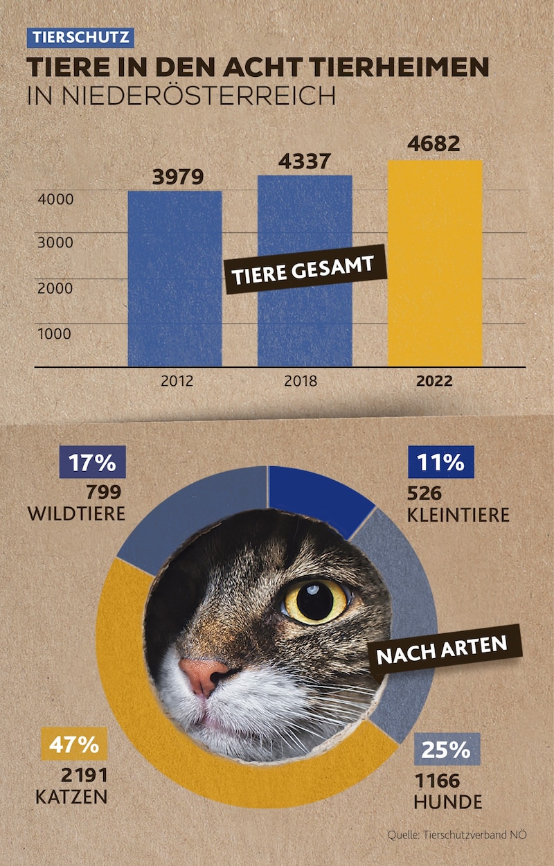 (Bild: Krone KREATIV)