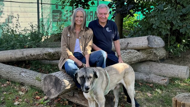 Andrea Specht und Willi Stiowicek weisen auf die bedenkliche Situation in den heimischen Tierheimen hin. Sie erfüllen nämlich zum Großteil Landesaufgaben, das Geld reicht aber nicht einmal für das Personal. (Bild: Thomas Werth)