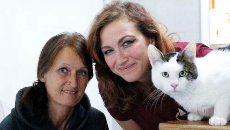 Das Tierheim Krems ist mit derzeit 120 Katzen voll besetzt: Brigitte K. (li.) und Katrin Hofbauer mit Kater „Spencer“. (Bild: Magdalena Amon)