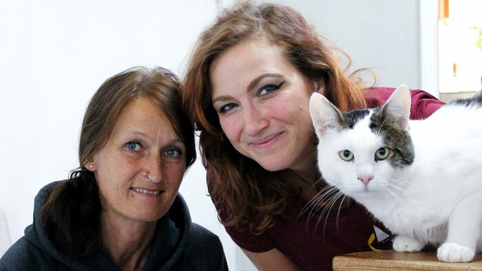 Das Tierheim Krems ist mit derzeit 120 Katzen voll besetzt: Brigitte K. (li.) und Katrin ...