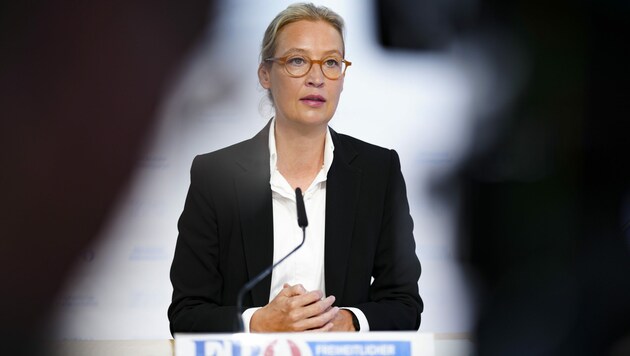 Erst vor Kurzem war Weidel noch in Wien zu Gast, jetzt dürfte sich die Bedrohungslage um sie aber verschärft haben. (Bild: APA/EVA MANHART)