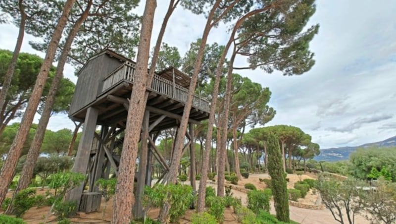 Das La Signoria in Calvi bietet seinen Gästen auch ein Baumhaus als luxuriöse Bleibe zum Übernachten - es ist bei den Gästen besonders beliebt. (Bild: Andrea Thomas)