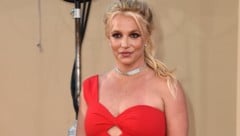 Britney Spears hat ihrem Welpen „Snow“ den „ersten Gucci-Bikini“ gekauft. (Bild: Jordan Strauss / AP / picturedesk.com)