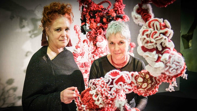 Bunt, filigran und fast wie echt: Die Künstlerinnen Margaret und Christine Wertheim haben zahlreiche Handarbeitfans eingeladen, Korallen beizusteuern. (Bild: Einöder Horst)
